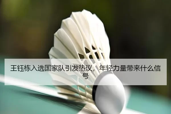 wang-yu-dong-ru-xuan-guo-jia-dui-yin-fa-re-yi-nian-qing-li-liang-dai-lai-shen-me-xin-hao-2-674.jpg