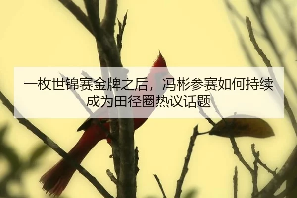 一枚世锦赛金牌之后，冯彬参赛如何持续成为田径圈热议话题